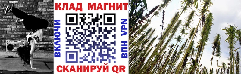 Где можно купить наркотики Таруса СК Псилоцибиновые грибы Гашиш Меф АМФ