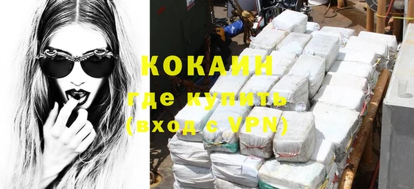 индика Михайловка