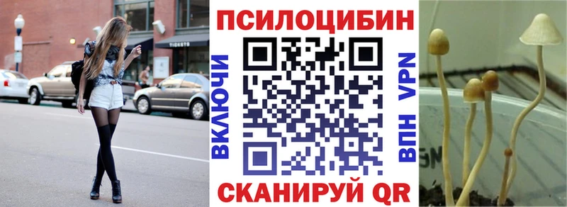 Псилоцибиновые грибы Psilocybe  Таруса 
